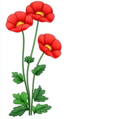Obraz premium Three vibrant red poppies with green stems and leaves are presented against a clean white background, creating a simple yet striking floral image