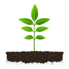 Vibrant green sprout emerging from dark brown soil against a bright white background. A simple, clean image representing new growth and life