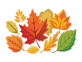 Autumn leaves collection isolated on white background
