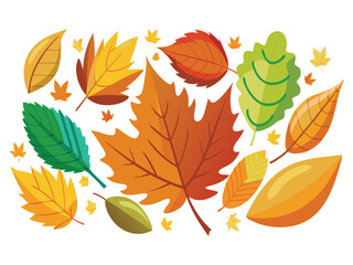Obraz premium Collection of autumn leaves isolated on white background 