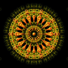 Rosette