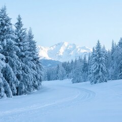 Snowy Landscape with Pine Trees and Distant Mountains
