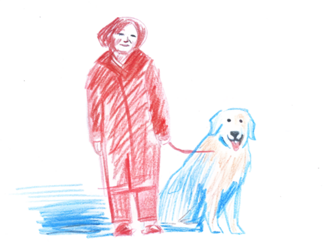 Hand-drawn illustration of an elderly woman with a dog on a leash - Powered by Adobe