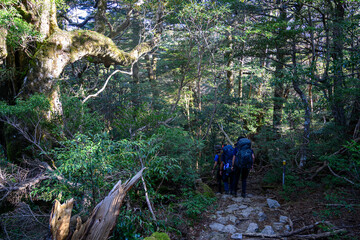 登山道を歩く人
