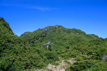 屋久島の登山道の景色