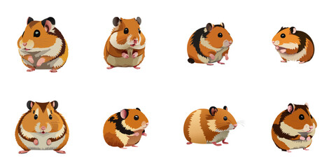Fototapeta premium Multiple vector illustrations hamster