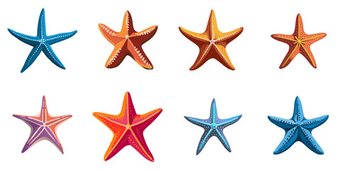 Multiple vector illustrations starfish


