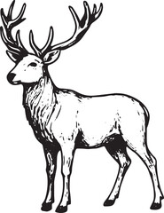 Obraz premium A striking black-and-white line art illustration of a majestic stag with large, branching antlers standing gracefully. Ideal for wildlife-themed designs, tattoos, posters, logos, or home decor, this d
