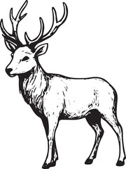Obraz premium A striking black-and-white line art illustration of a majestic stag with large, branching antlers standing gracefully. Ideal for wildlife-themed designs, tattoos, posters, logos, or home decor, this d