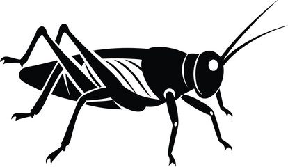 illustration of a grasshopper