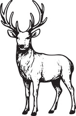 Obraz premium A striking black-and-white line art illustration of a majestic stag with large, branching antlers standing gracefully. Ideal for wildlife-themed designs, tattoos, posters, logos, or home decor, this d