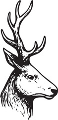 Obraz premium A bold black-and-white line art illustration of a deer head with large, branching antlers, featuring intricate details. Perfect for wildlife-themed tattoos, logos, posters, wall art, or rustic decor, 