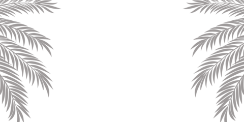 Elegant palm leaf corner border in soft gray tones on a white background, ideal for invitations, greeting cards, minimalist tropical-themed designs, and clean nature-inspired layouts.

