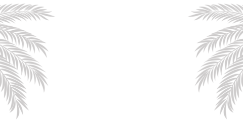 Elegant palm leaf corner border in soft gray tones on a white background, ideal for invitations, greeting cards, minimalist tropical-themed designs, and clean nature-inspired layouts.

