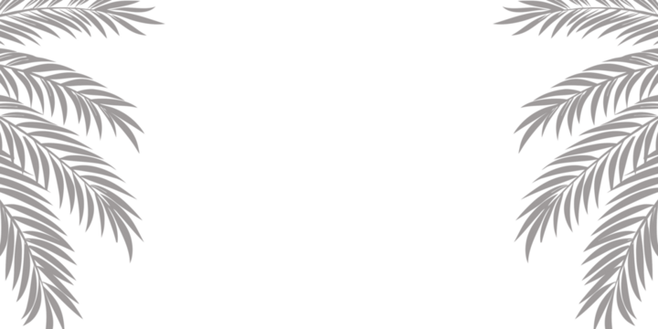 Elegant palm leaf corner border in soft gray tones on a white background, ideal for invitations, greeting cards, minimalist tropical-themed designs, and clean nature-inspired layouts.

