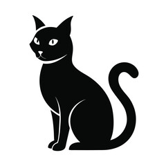 black cat on white background