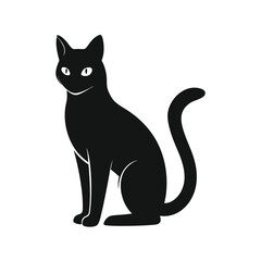 black cat on white background