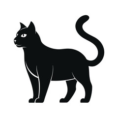 black cat vector illustration