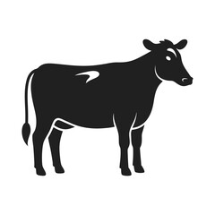 black and white cow