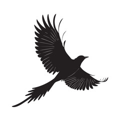 Elegant black silhouette of a bird in flight