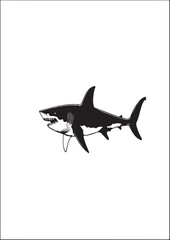 drawing of megalodon one color logo black and  white