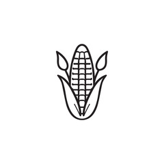 Corn vector logo template