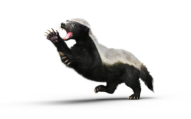 3d Illustration of a Honey Badger with Clipping path – Nature’s Most Fearless Predator