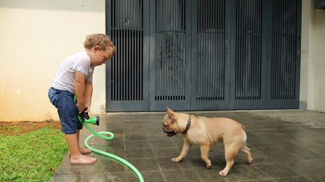 Playful barefoot toddler tries to play with water from garden hose but accidentally bends it, causing sudden splash that surprises both himself and small French Bulldog. Funny and candid moment