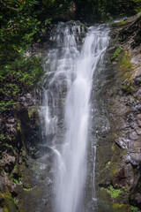 Waterfall in the rainforest for a long exposure