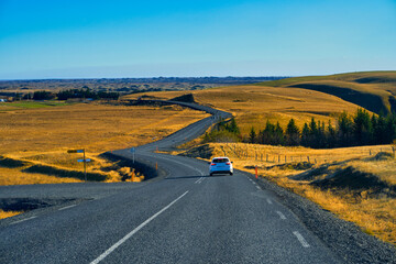 On the road in Iceland in day time with golden ligh on grass along the way, Road trip travel in Iceland.