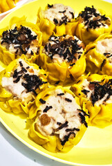 Traditional Chinese Dimsum with Seaweed Topping