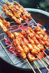 Delicious Indonesian Style Grilled Satay, Golden and Glazed