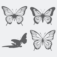 Fototapeta premium set of vector butterflies