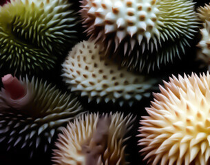 Obraz premium Colorful fruit and vegetable background image