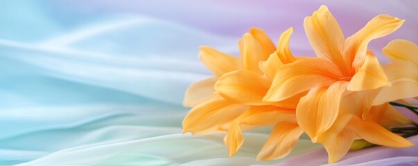 Obraz premium Orange lilies on pastel fabric soft floral background