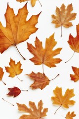 Fototapeta premium Fresh strawberries arranged on a rustic plate with sliced pieces 