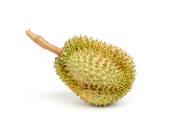 Durian Asian fruit isolated on white background