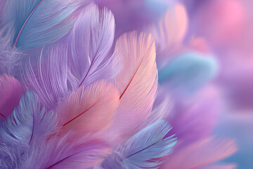 Fototapeta premium Soft Pastel Pink And Purple Feathers Background