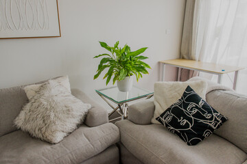 Lounge comfy couch setup with plant in center piece 