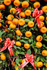 Mandarin tree - Chinese New Year 2023 at the entrance of Buddha Toothe Relic Temple in Singapore
