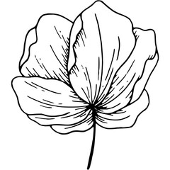 hand drawn flower