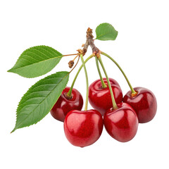 Red cherries with leaves isolated on white background showing freshness and juicy appeal
