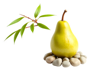 A Golden Pear on Stones with Leafy Branch