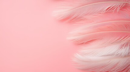 Obraz premium Abstract Close-Up of Pink Feathers on Soft Light Background, Delicate Pastel Texture with Dreamy Aesthetic and High-Detail Minimalist Composition.