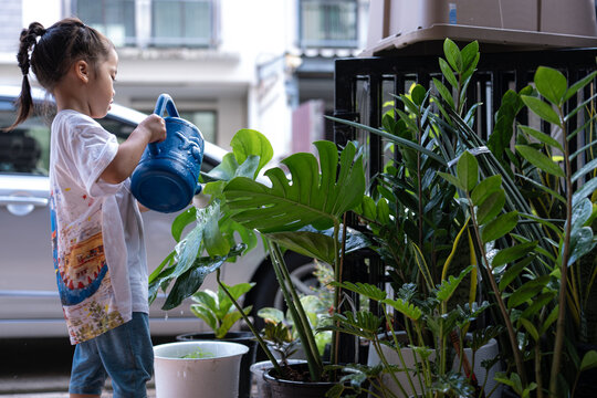 Little kindergaretn asian girl watering on green monstera plants in city town house