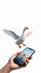 A hand holding a phone captures a majestic goose in flight, mirroring the live bird above.