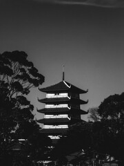 Pagoda in the distance