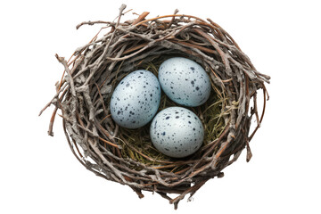 Obraz premium Bird nest holding three blue speckled eggs on dry twigs, symbol of spring, life, and natural beginnings on white background.