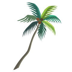 Isolated tall palm tree with a thin trunk, green leaves and three coconuts. Cartoon vector illustration for children's book, activity book, stickers.