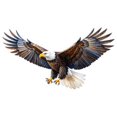 Obraz premium Majestic bald eagle with open wings, isolated on transparent background, showcasing freedom, strength, and American symbol.